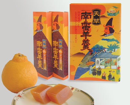 天草銘菓 天草南蛮羊羹
